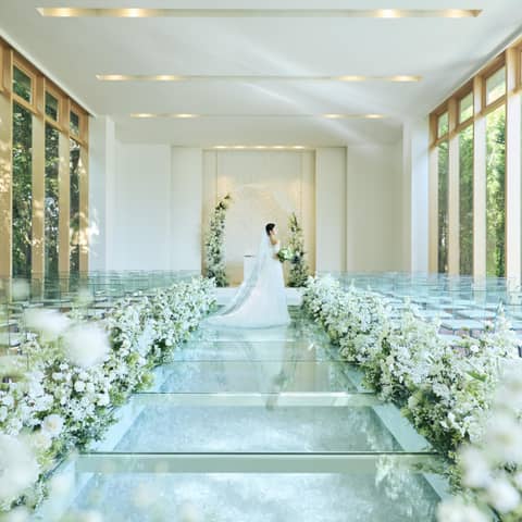 【2026年4月~2026年6月】春シーズン限定プラン