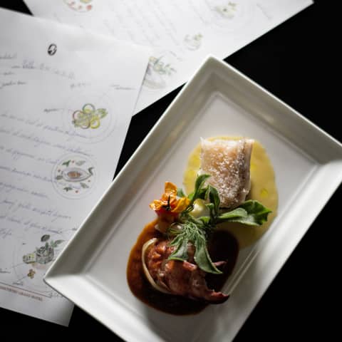 《springプラン》2026年4月~6月まで