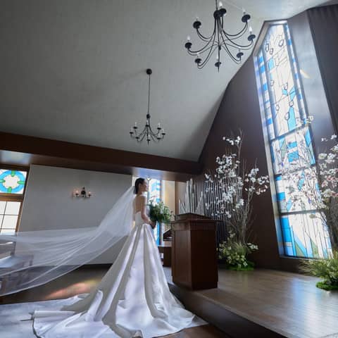 《summerプラン》2026年7月~9月まで