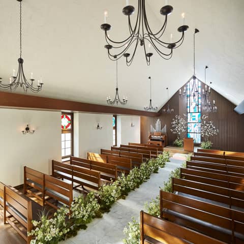 《springプラン》2026年4月~6月まで