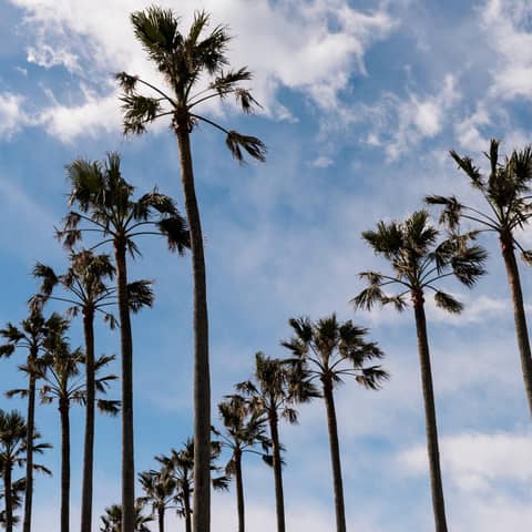 リビエラ逗子マリーナ