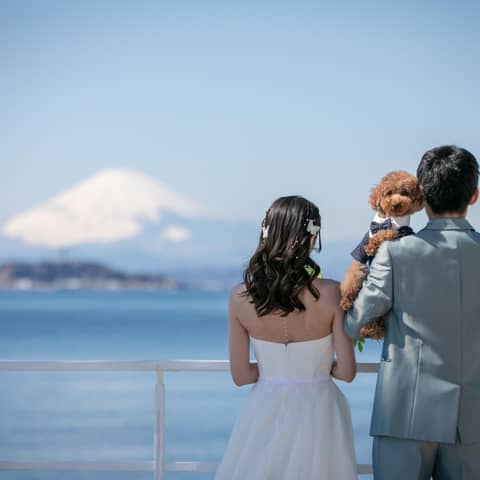 リビエラ逗子マリーナ