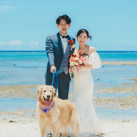 \愛犬も祝福/ペット婚プラン