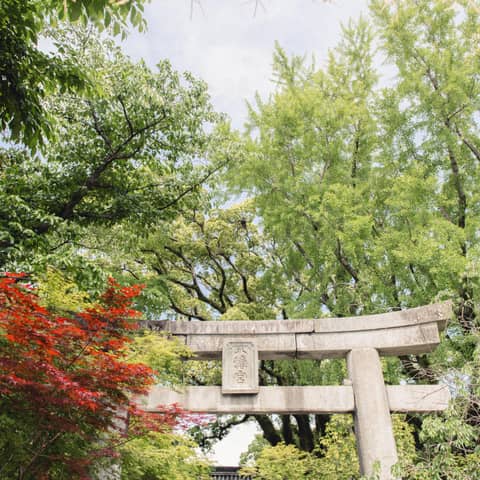 8大特典付【26年10・11月】神前式&披露宴プラン(20~60名様)