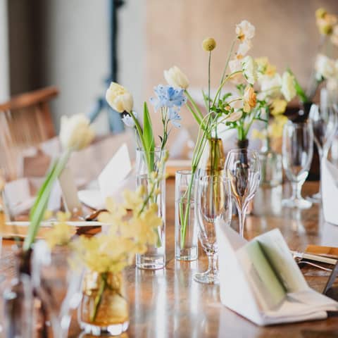 パーティのみプラン(15~40名様/2026年8月まで)