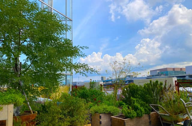 Restaurant Sola|レストランソラ