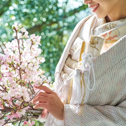 Restaurant Sola|レストランソラ