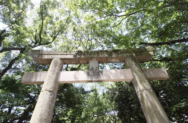 Restaurant Sola|レストランソラ