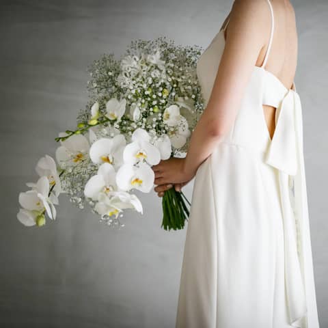 Restaurant Sola|レストランソラ