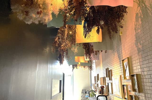 Restaurant Sola|レストランソラ