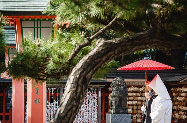 Restaurant Sola|レストランソラ