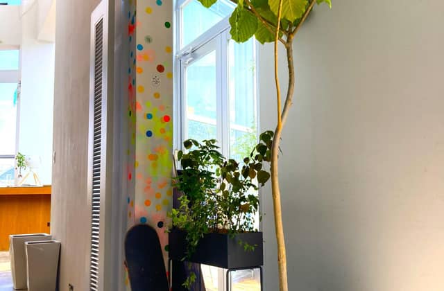 Restaurant Sola|レストランソラ