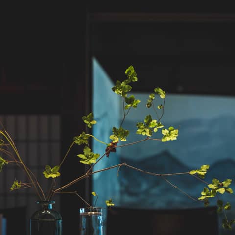 御料理 万る山(国登録有形文化財)