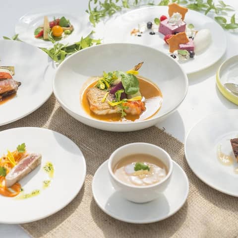 【1年で1番お得に叶える夏婚】26年7月〜8月 60名