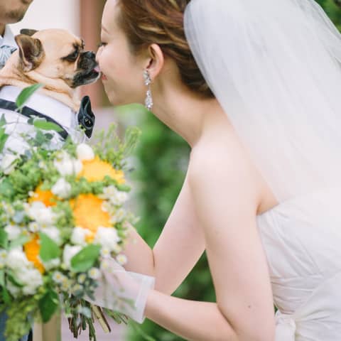 【1年で1番お得に叶える夏婚】26年7月〜8月 60名