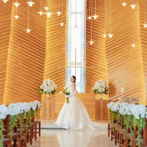 【2026年5月、6月スプリングプラン】晴れの日が多い人気シーズンも☆