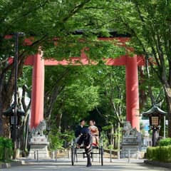 氷川参道を優雅に人力車で【提携神社で挙式後の披露宴プラン】