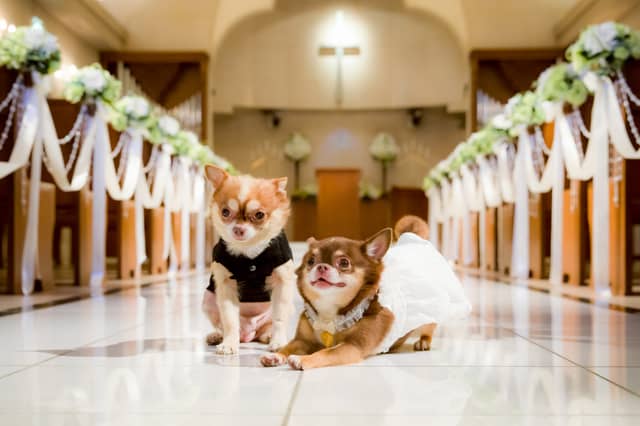 Socia21（ソシア21）｜神奈川県 新横浜の結婚式場