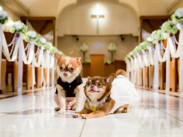 Socia21(ソシア21)|神奈川県 新横浜の結婚式場