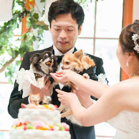 【愛犬も一緒に全館OK！／愛犬のお食事付】ペットと一緒の結婚式♪