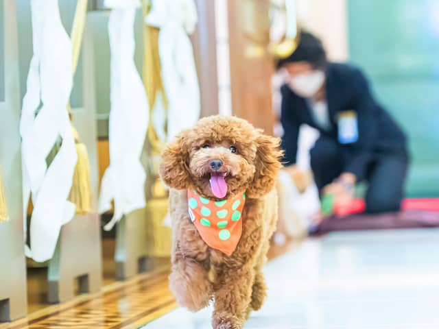 【公式】ローズホテル横浜 別邸 ザ・ローズレジデンス