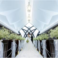 《2027年3～6月》50名229万オールインワン＊71万ご優待付