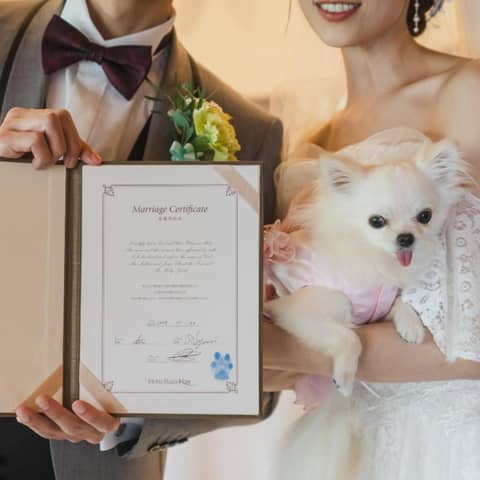 【公式】ホテルプラザ神戸 結婚式｜空と海のガーデンウェディング