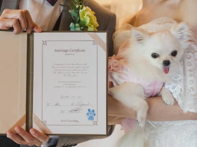 【公式】ホテルプラザ神戸 結婚式|空と海のガーデンウェディング