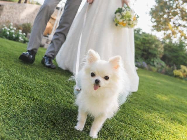 【公式】ホテルプラザ神戸 結婚式|空と海のガーデンウェディング