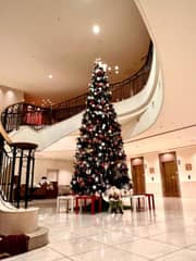 Best Price！組数限定★聖なる日のXmas家族婚プラン