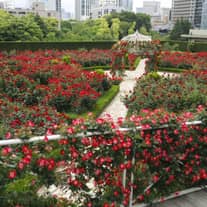 東京の結婚式場ならホテルニューオータニ【公式】
