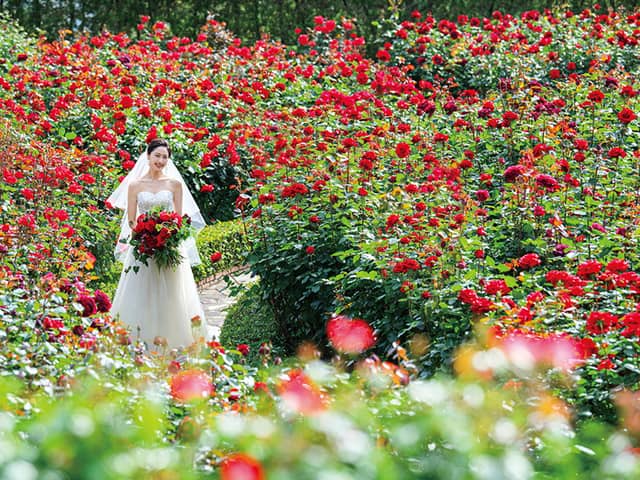 東京の結婚式場ならホテルニューオータニ【公式】