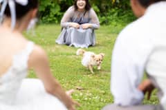 ＼他プラン併用可／大切な家族との結婚式が叶うペット婚PLAN