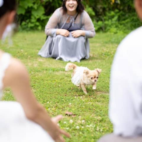 ＼他プラン併用可／大切な家族との結婚式が叶うペット婚PLAN