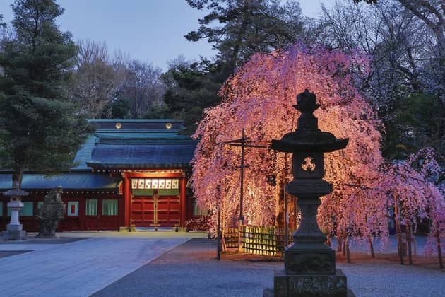 大國魂神社 結婚式