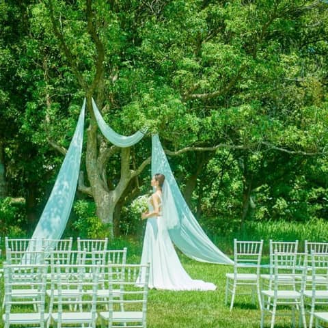 ＜3万坪の敷地でロケーションフォトプラン＞26年3月まで