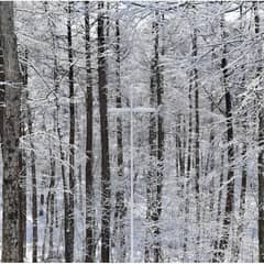 スペシャル3大特典付き！！【～4月限定プラン❅】