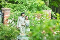 【オンライン＆サロン相談会限定】ご結婚式当日航空券プレゼント!!