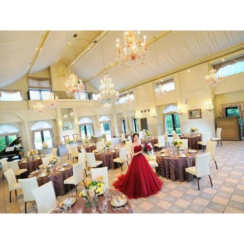 スプリングプラン【2027年3月～5月】