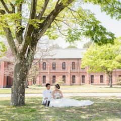 スプリングプラン【2026年3月～5月】