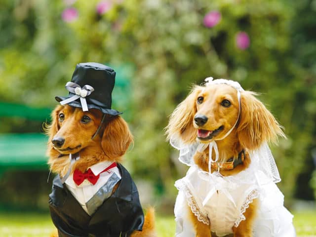 名古屋市八事の結婚式場【公式】マリエール山手