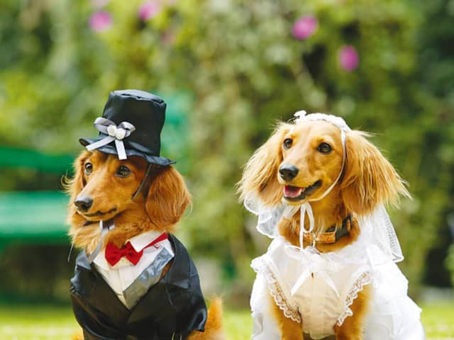 名古屋市八事の結婚式場【公式】マリエール山手