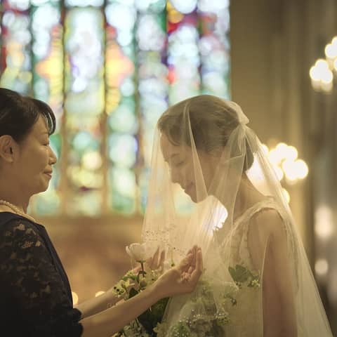 【50名で222万円プラン】2026年春婚プラン！