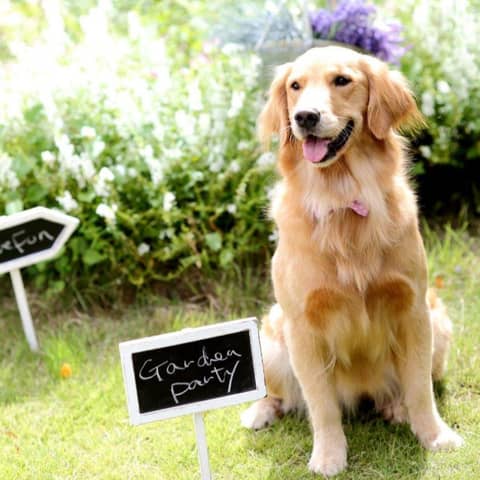  名古屋市八事の結婚式場【公式】マリエール山手