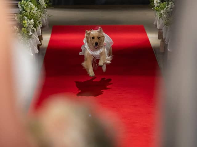 名古屋市八事の結婚式場【公式】マリエール山手