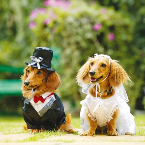  名古屋市八事の結婚式場【公式】マリエール山手