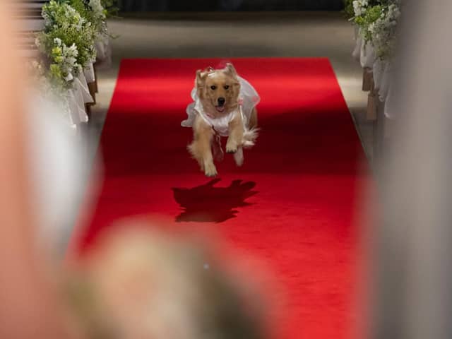 名古屋市八事の結婚式場【公式】マリエール山手