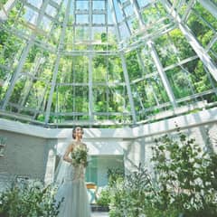 【2026年早割】スプリングプラン