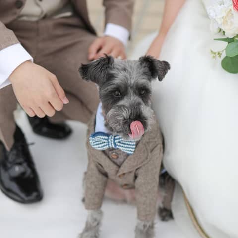 神戸ポートピアホテル|ウエディングサイト