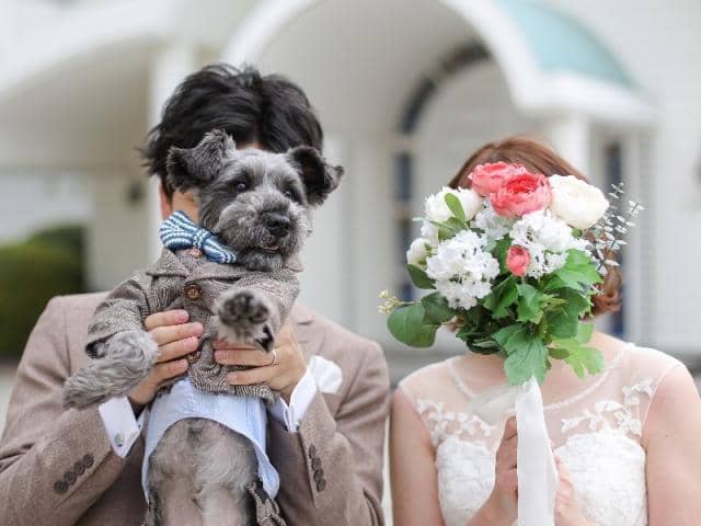 神戸ポートピアホテル|ウエディングサイト